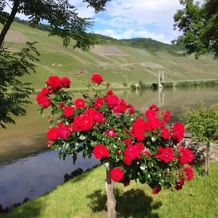 Ferien-wein-gut Keifer Guest house Bernkastel-Kues
