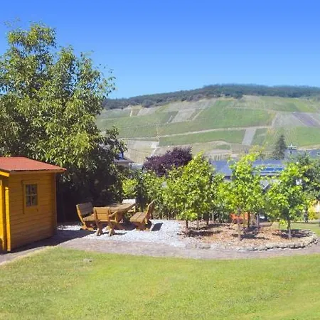 Гостевой дом Ferien-wein-gut Keifer