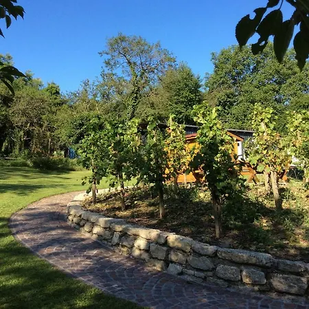 Ferien-wein-gut Keifer Bernkastel-Kues