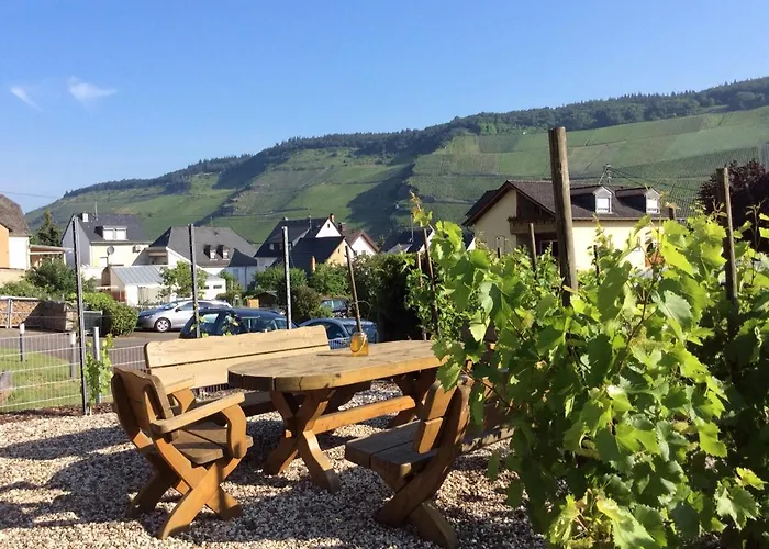 Casa de hóspedes Ferien-wein-gut Keifer Bernkastel-Kues