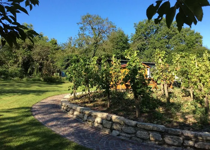 Ferien-wein-gut Keifer Bernkastel-Kues